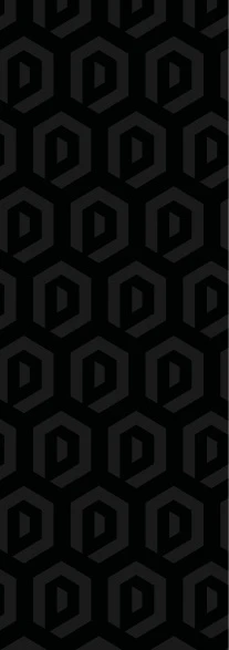 Motif géométrique répétitif en noir et gris formant des hexagones avec des formes en relief à l'intérieur.

Description générée par IA