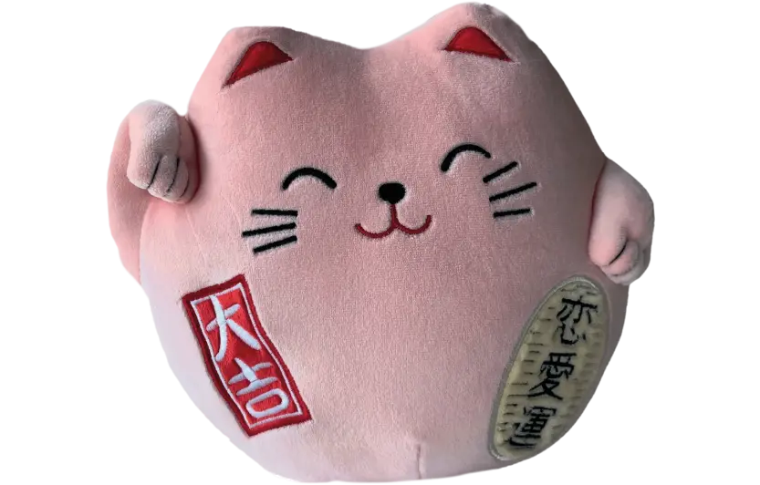 Peluche rose en forme de chat souriant avec des inscriptions japonaises brodées sur le corps.

Description générée par IA